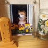 愛犬「チッポ」の命日