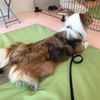 キュティア8