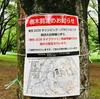 有為自然　696　　公園で　いったい何が　？