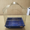 一人暮らし　セキセイインコ（手乗り）と生活始める。