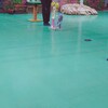 にんにくの収穫