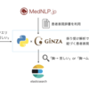 GiNZAと患者表現辞書を使って患者テキストの表記ゆれを吸収した意味構造検索を試した