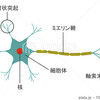 医療用語38.細胞体39.樹状突起40.軸索