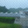 福岡記：家族旅行２、そして東京へ。
