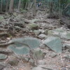 菊水山から摩耶山の、縦走トレーニング（その１）鵯越→菊水山→鍋蓋山