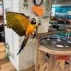 【遊び場】いきもの探検隊湘南店