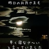 年末年始の日程と眠りについてしまっていた話