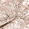 2016年末一人旅　第四週(223)久慈の雪景色１１