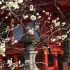 北野天満宮　初天神～梅ほころぶ学業成就祭