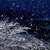 雪夜-YUKIYO-／Tsuyoshi_san