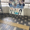 今日は淀の河津桜と京都競馬場に行ってきた