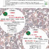 臨時休業のお知らせ&amp;発表会ご参加の生徒さんへ