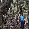 立冬の剣山遊山　雨やどり