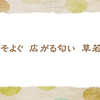 広がる春　【晩春の俳句】