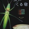 『虫のくる宿』　夜の窓に集まる虫たちのお話