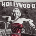 hollywoodlady’s blog