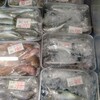 ３月１８日（土）河西鮮魚店