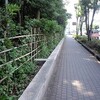 自然の風
