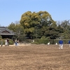 岡山後楽園 タンチョウの放鳥