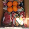 世界マグロデイ
