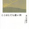 『ここはとても速い川』井戸川 射子(著)の感想【見逃してはいけない言葉】(野間文芸新人賞受賞)