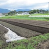 農園日誌ー秋野菜の種蒔きーむかし野菜への思いＰＡＲＴⅡ