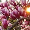 その後が・・