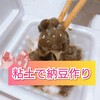 粘土遊び【本物そっくりな納豆】～粘土で納豆作り