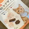 猫の老化の特徴や外見の変化について知りたい、老猫向けおすすめサプリメントもご紹介！