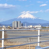 春がきた、、かな？