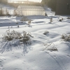 朝陽に輝く積雪と足跡　～雪と太陽と大気がくれた贈物