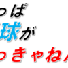 2020日本シリーズと埼玉西武ライオンズを振り返る その1