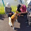 息子の部活とお買い物。