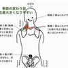 12月急に寒くなると。。