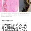 mRNAワクチン血管や臓器にダメージ(大動脈破裂を🫠)