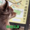 連休～2回