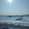 冬の中国河南省開封市、１月の気候変化の様子☃気温１８℃から氷点下の世界へ⛄乾燥もツラいよ😅
