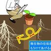 腸内での微生物による分解を、植物栽培のときの鉢に模して感じ取ると、どうなるのか？