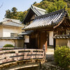 地元の桜 ～ 天野山金剛寺 Ⅳ