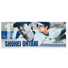 大谷翔平 VS ラッシング　遺恨のわけ