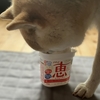 好物