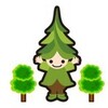 『カエデの苗木』