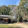 太刀八幡宮　鎮守の森　フクロウの鳴き声