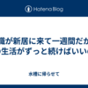 無職が新居に来て一週間だが、この生活がずっと続けばいいのに