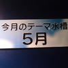 【まとめ】今月のマンスリー水槽：2014年5月