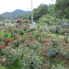 大子の「秘密の花園」