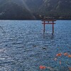 御手洗池之守護神 九頭龍神社 本宮