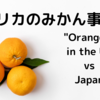 アメリカのみかん事情 / "Oranges" in the US vs. Japan