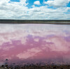 【不思議】世界のピンクの湖