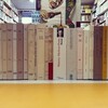- 新入荷 -　 仏語 洋書 25冊　ガタリ、ジャック・デリダ、リオタール、メルロー＝ポンティ　他